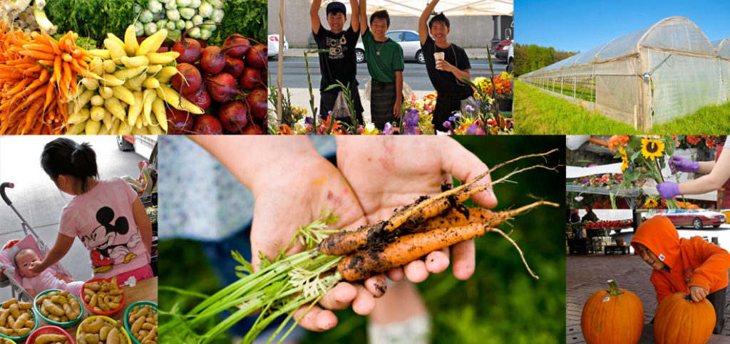 A “prescription” for food insecurity